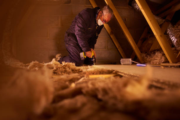 Best Commercial Insulation in Youngsville, LA